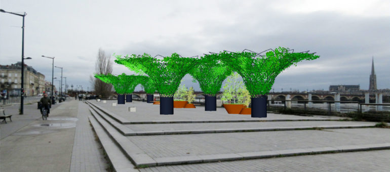 Canicule à Bordeaux : les nouvelles installations et (revoilà) les arbres en pot