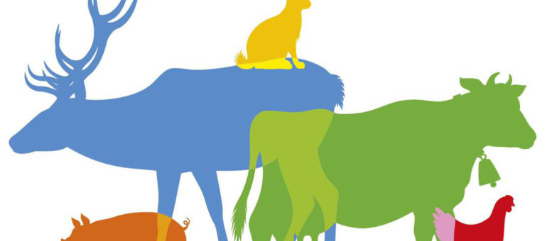 Pierre Hurmic soutient le « référendum pour les animaux »