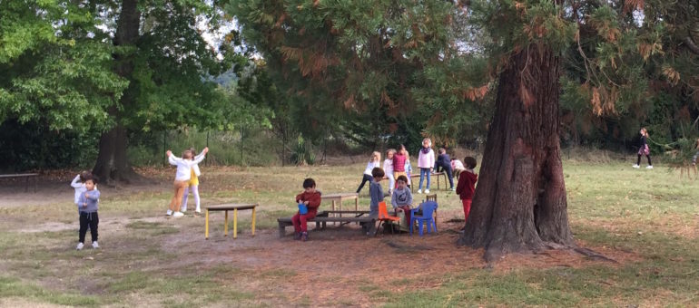 Dossier #35 : Les écoles alternatives toujours plus attractives en Gironde