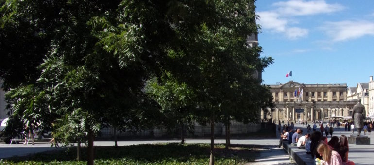 Ville de pierre, Bordeaux bourgeonne