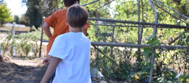 La Chrysalide, l’école de la forêt qui sort les enfants de leurs cocons