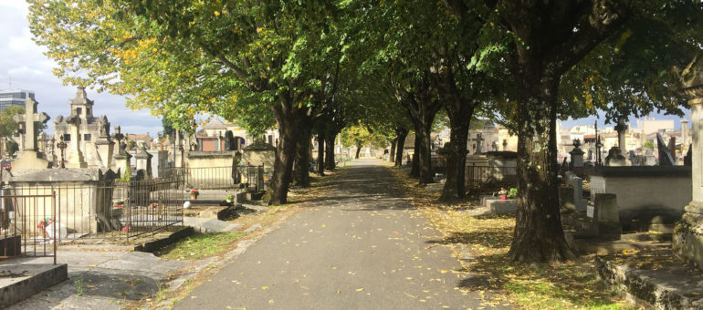 Le cimetière de la Chartreuse espère devenir « un lieu de vie »