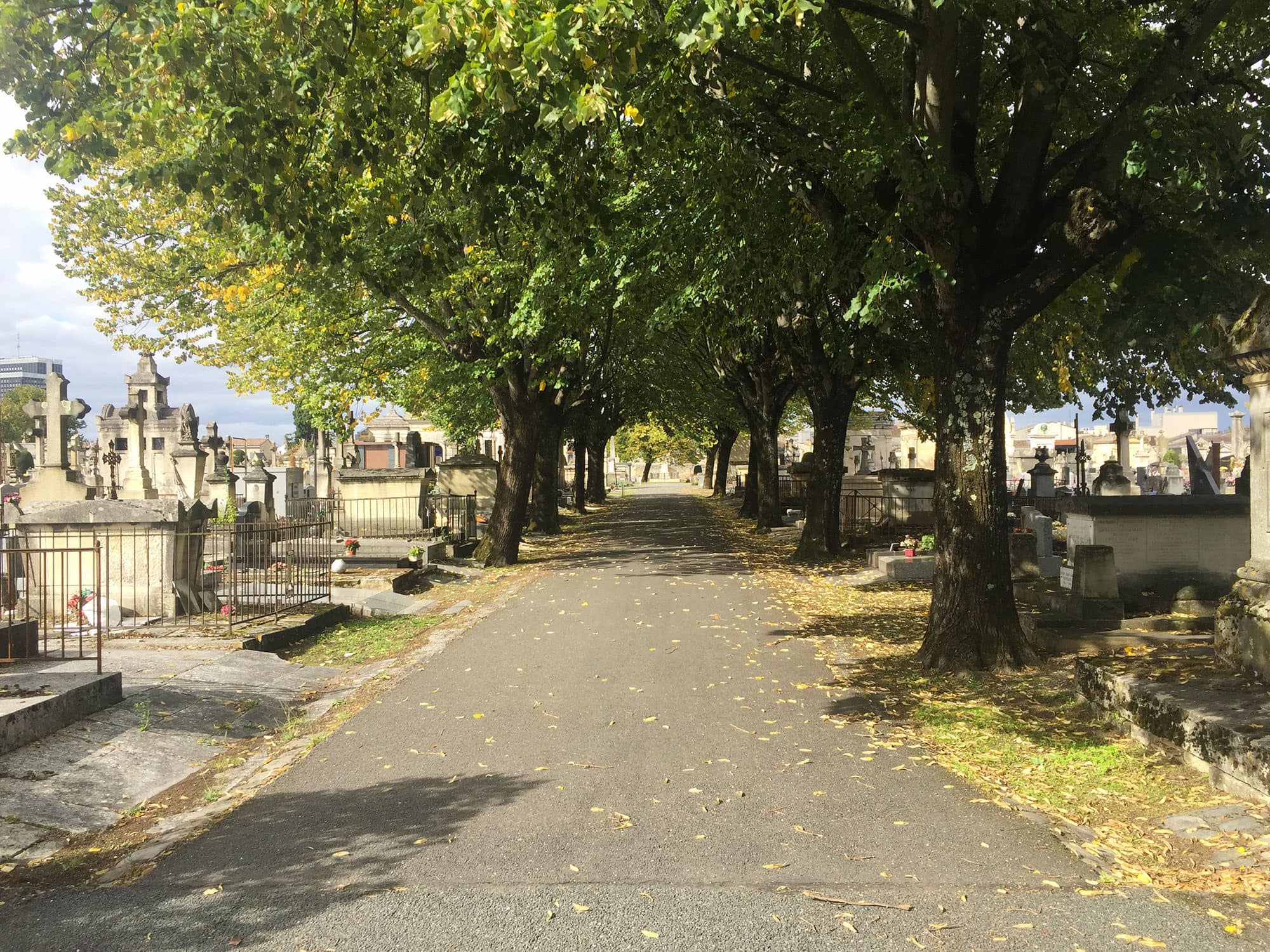 Le cimetière de la Chartreuse espère devenir « un lieu de vie »