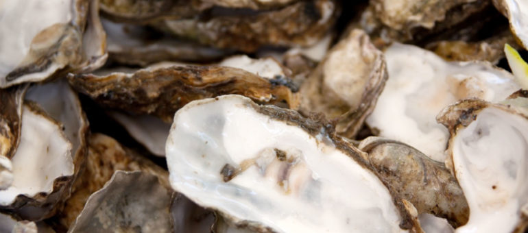 Après les repas de fêtes, vos coquilles d’huîtres s’offrent une nouvelle carrière