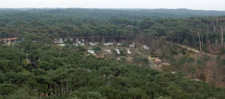 La Gironde championne des atteintes à l’environnement
