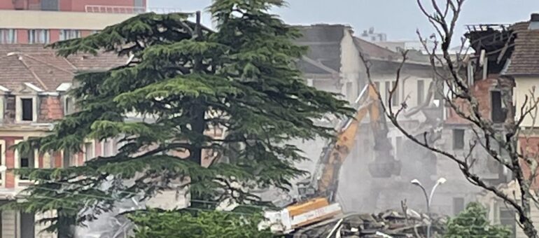 Peut-on encore sauver les arbres remarquables du site de Bagatelle ?