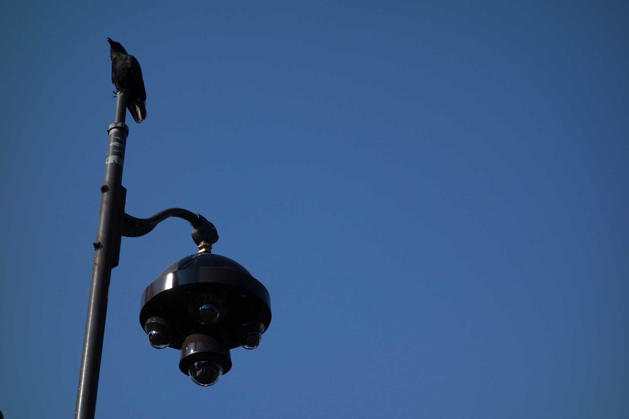 Les caméras de vidéosurveillance envahissent les villes de Bordeaux Métropole