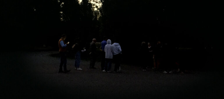 Des visiteurs du soir pour la faune nocturne du parc Bordelais