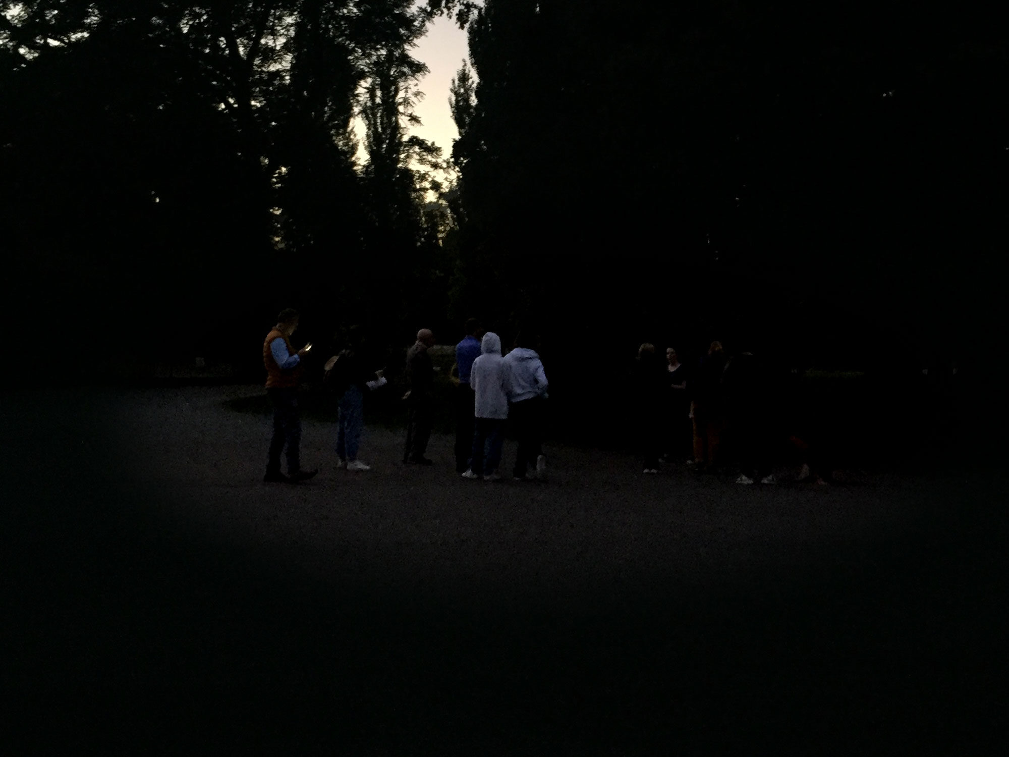 Des visiteurs du soir pour la faune nocturne du parc Bordelais