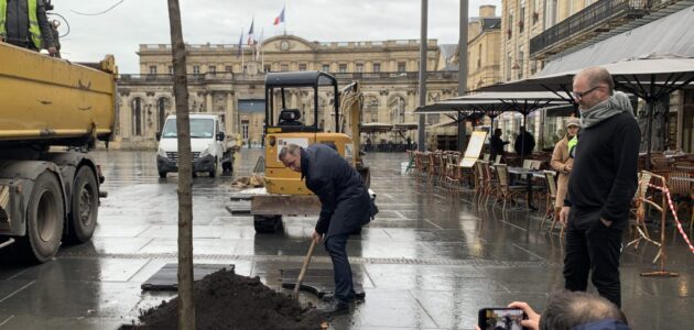 Bordeaux sème à tout vent et signe une « Déclaration des droits de l’arbre »