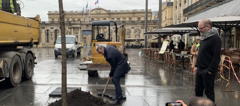 Bordeaux sème à tout vent et signe une « Déclaration des droits de l’arbre »
