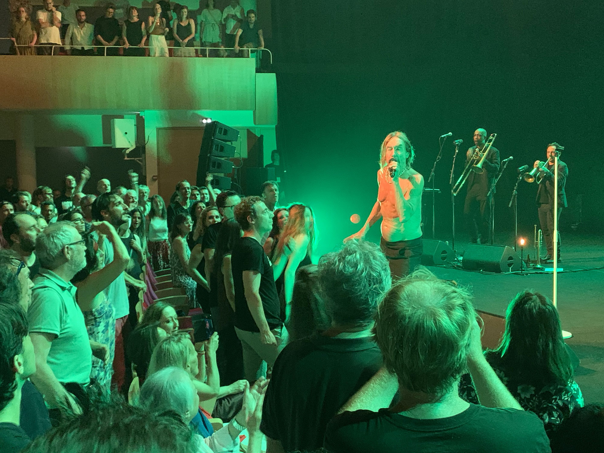 Iggy Pop à pleins tubes à l’Opéra de Bordeaux