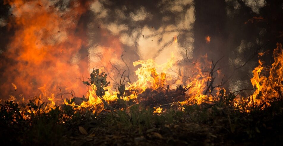 Incendies en Gironde : « Notre maison brûle et nous étions prévenus »