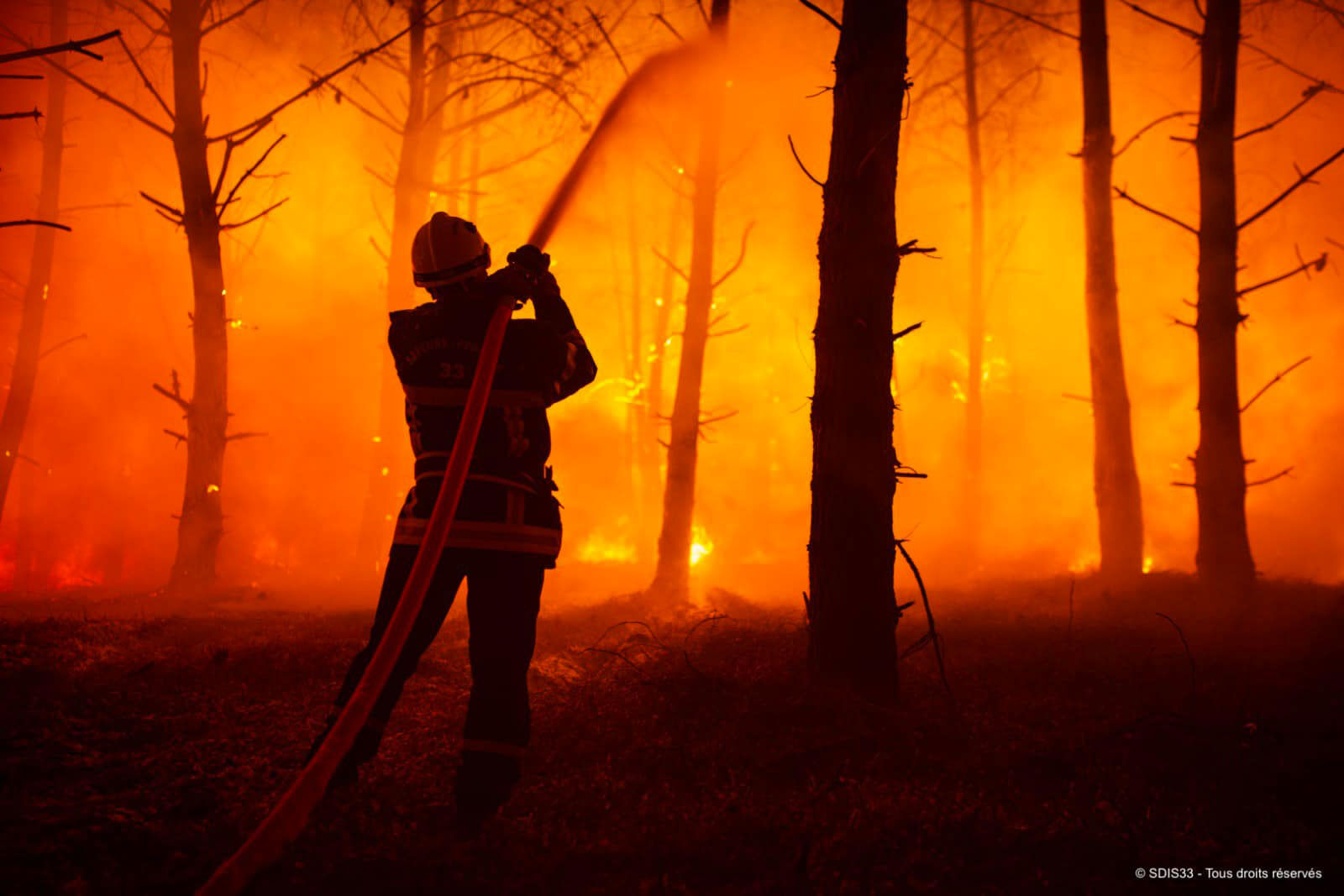 Après les incendies hors normes de l’été, la Gironde veut plus de moyens pour ses pompiers