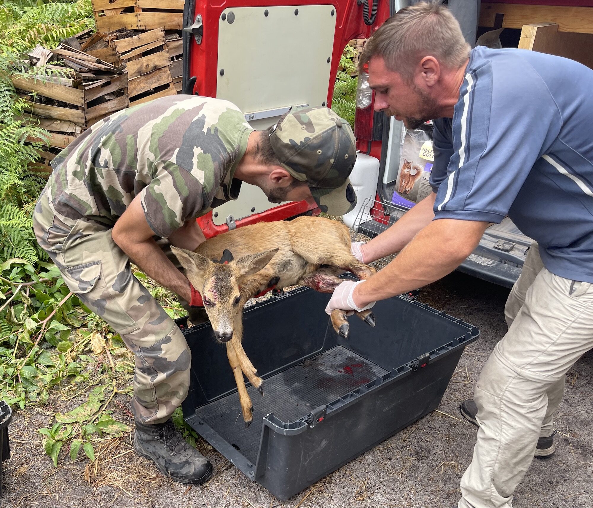 Ils ont porté secours aux animaux sauvages victimes de l’incendie en Gironde