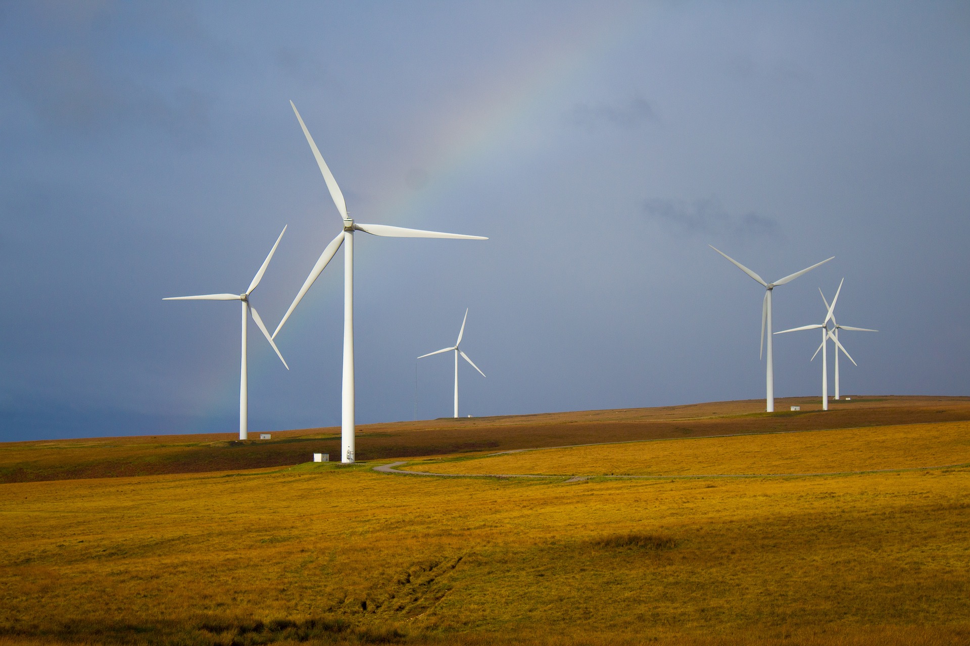 « Les énergies renouvelables vont faire le job mieux que le nucléaire »