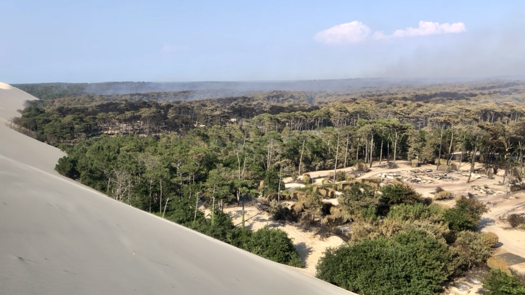 La forêt usagère de La teste-de-Buch vu depuis la Dune du Pyla-sur-Mer sur le bassin d'Arcachon