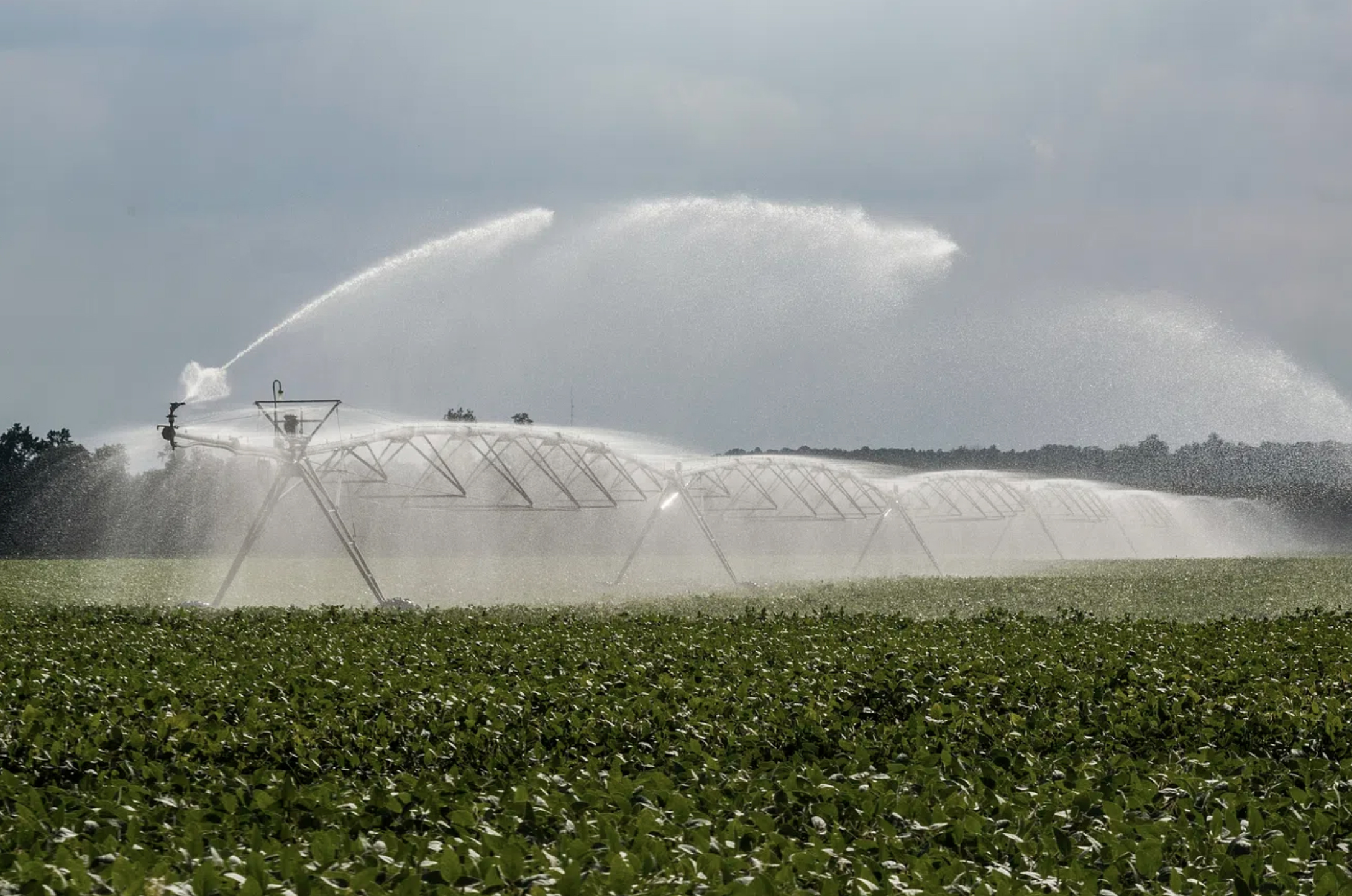 La Nouvelle-Aquitaine rame sur la gestion de l’eau, débordée par une agriculture assoiffée