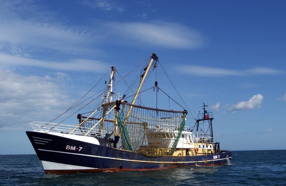 La pêche au chalut au large du bassin d’Arcachon suspendue par la justice