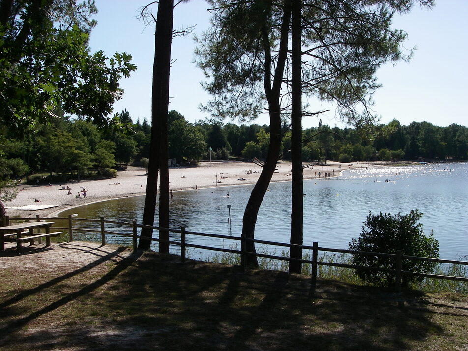 Fermeture du lac d’Hostens à la baignade : la prolifération des cyanobactéries est « liée aux activités humaines »