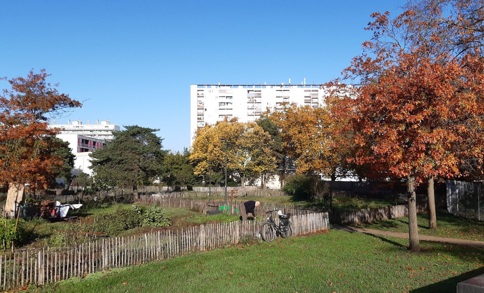 Deux fermes urbaines vont pousser dans les quartiers du Grand Parc et de la Benauge