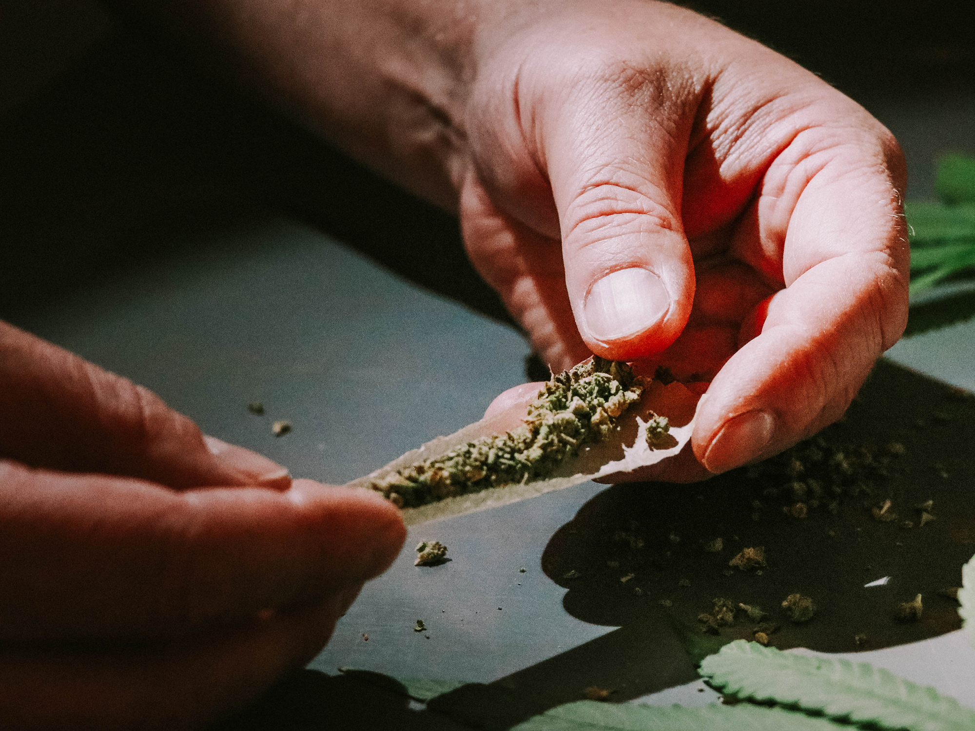 Expérimenter la légalisation du cannabis : Bègles allume la mèche pour déminer le débat