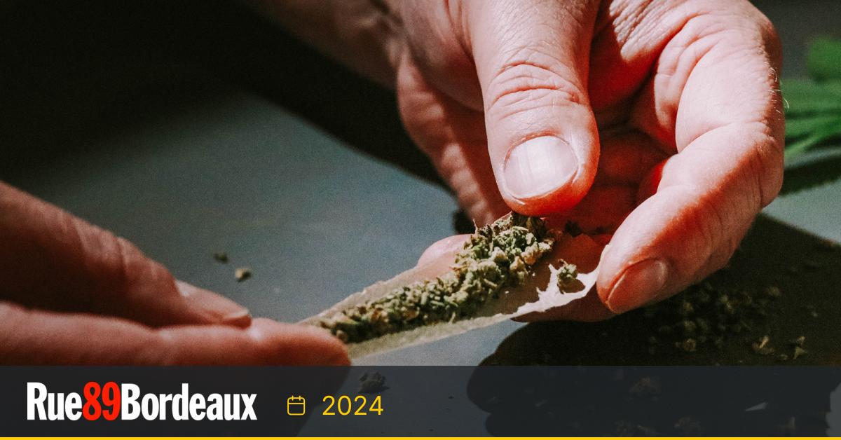 Sur Rue89Bordeaux : Expérimenter la légalisation du cannabis : Bègles allume la mèche pour déminer le débat - Rue89Bordeaux