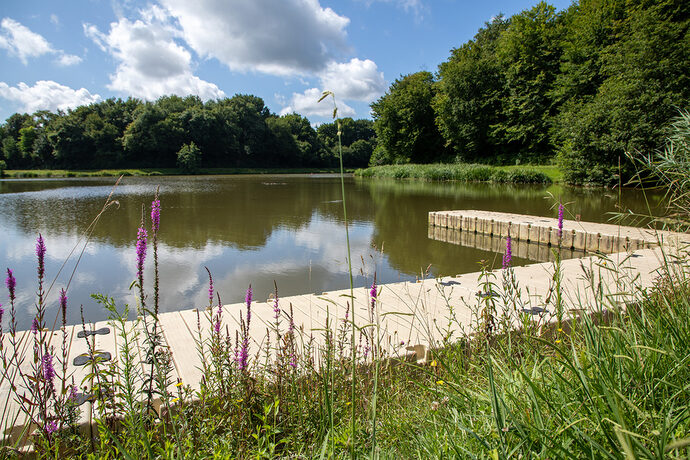 Des rendez-vous avec la nature pour profiter de l’été en Gironde