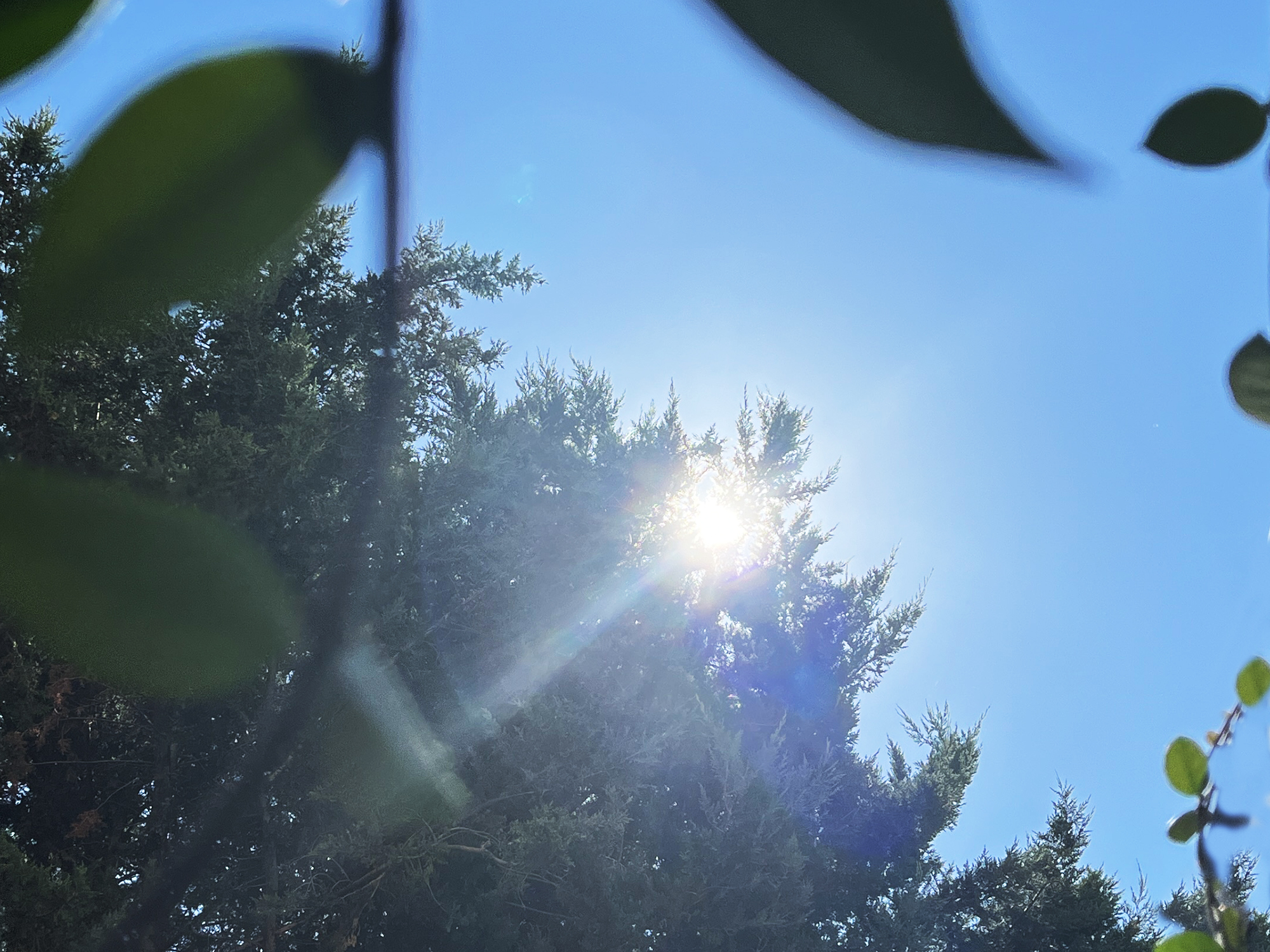 La Gironde en vigilance orange canicule ce dimanche avec 40°C annoncés