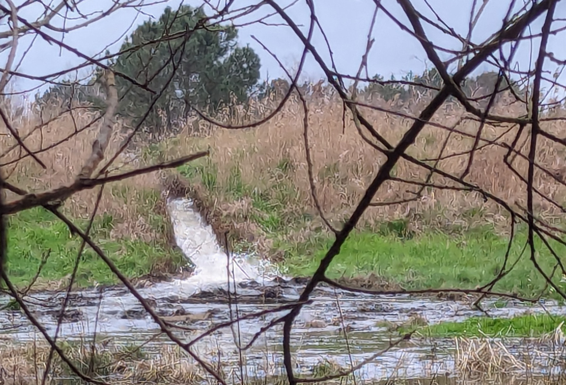 L’Etat s’apprête à valider un « permis de polluer XXL » sur le Bassin d’Arcachon