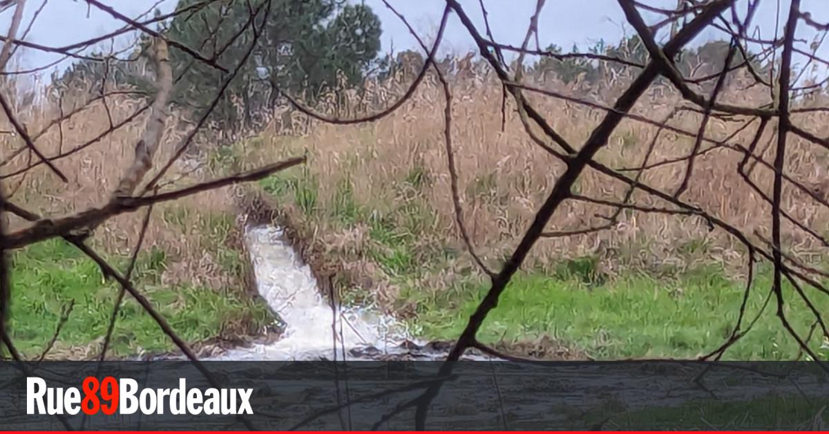 La suspension des « permis de polluer » sur le Bassin d’Arcachon confirmée par le Conseil d’État