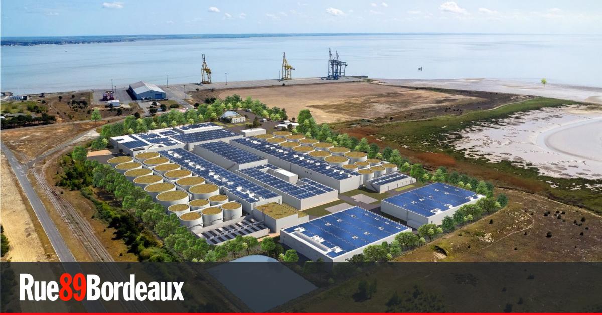 Tsunami d’avis hostiles lors de l’enquête publique sur Pure Salmon au Verdon