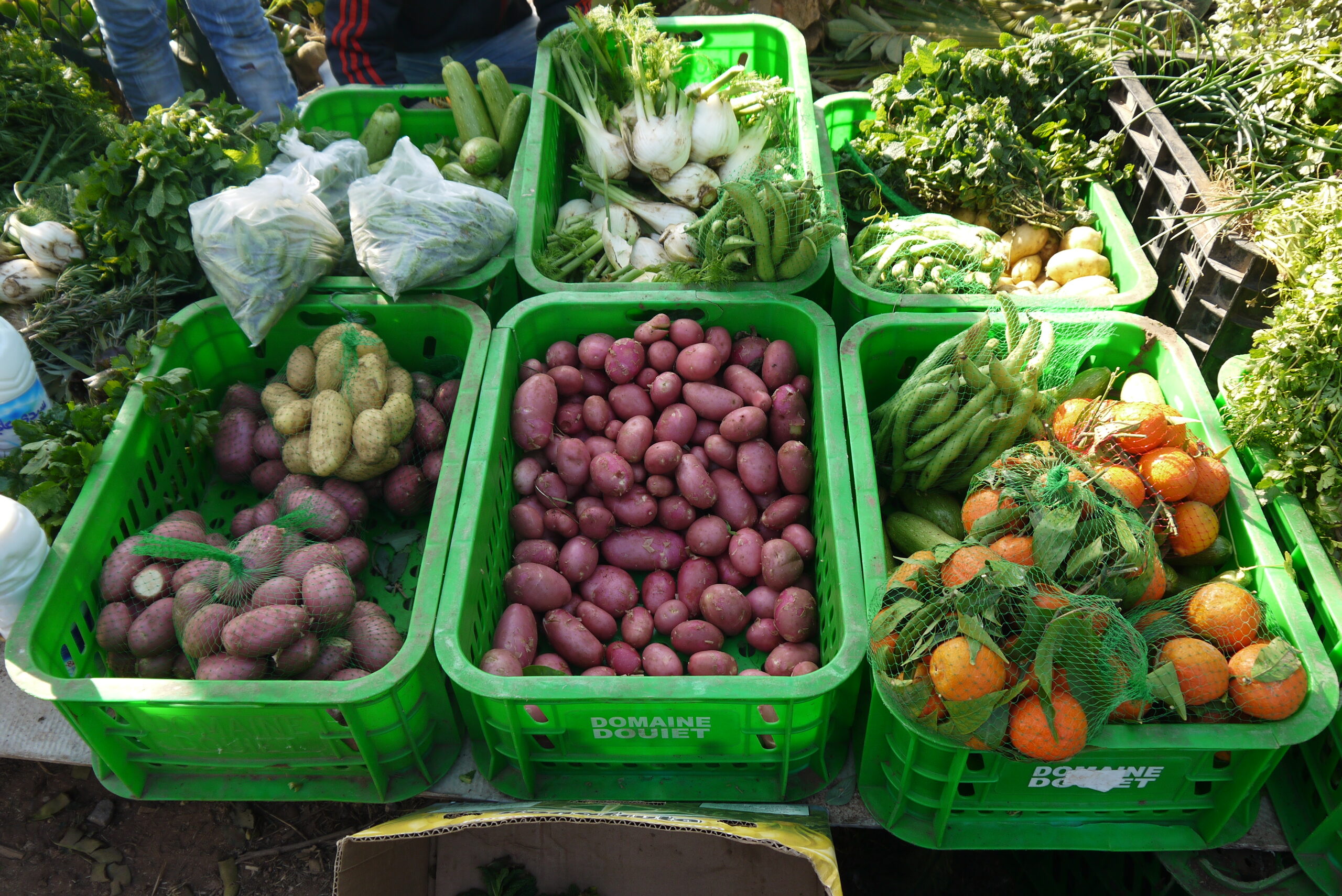 Légumes frais sur un stand de marché, porteurs du label bio.