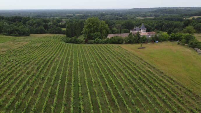 Ces vignerons girondins qui entrent en résistance avec les Soulèvements de la Terre