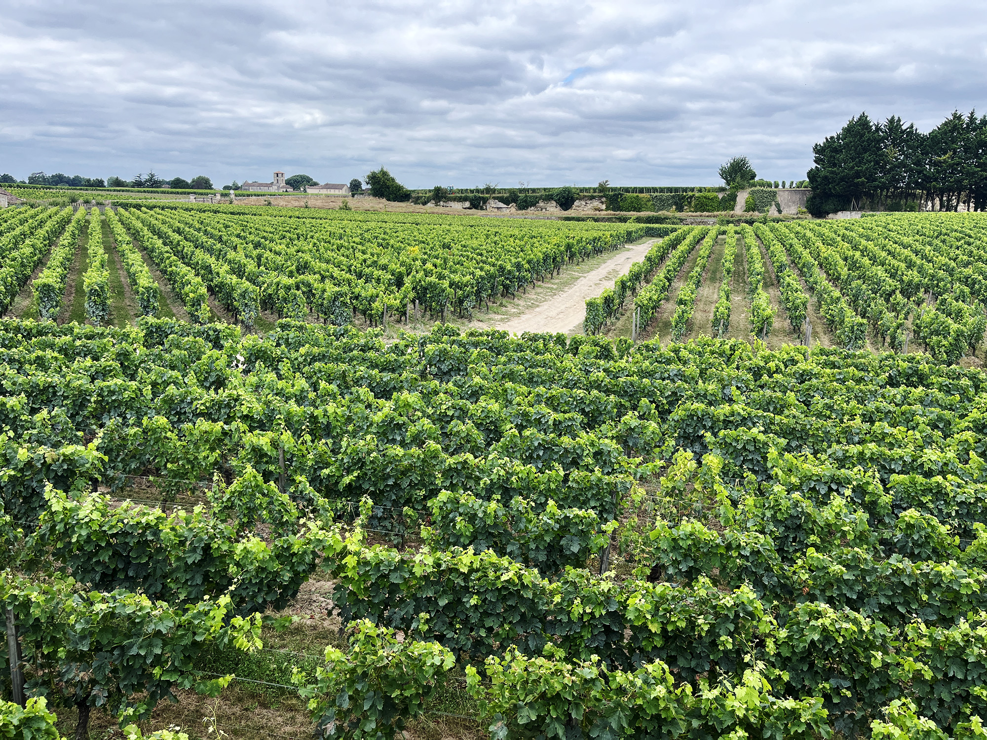 Le logement indigne des travailleurs saisonniers, menace pour les prestigieuses appellations viticoles de Gironde