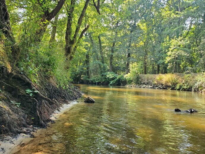 LGV Bordeaux-Toulouse : la Commission locale de l’eau du Ciron émet un cinglant avis défavorable