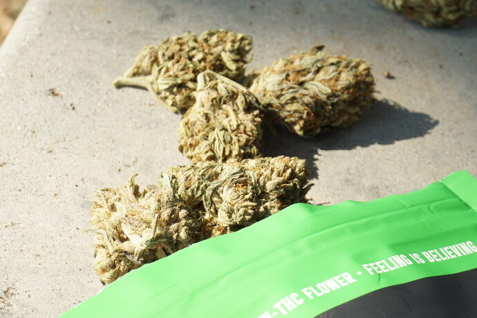 Condamné à Bordeaux pour conduite sous stupéfiant, un conducteur conteste l&rsquo;angle mort du CBD au volant