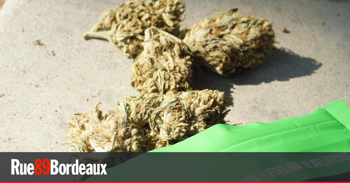 Condamné à Bordeaux pour conduite sous stupéfiant, un conducteur conteste l’angle mort du CBD au volant