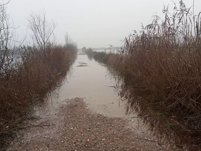EMME : la consultation révèle de maigres espoirs industriels et de nombreuses craintes environnementales