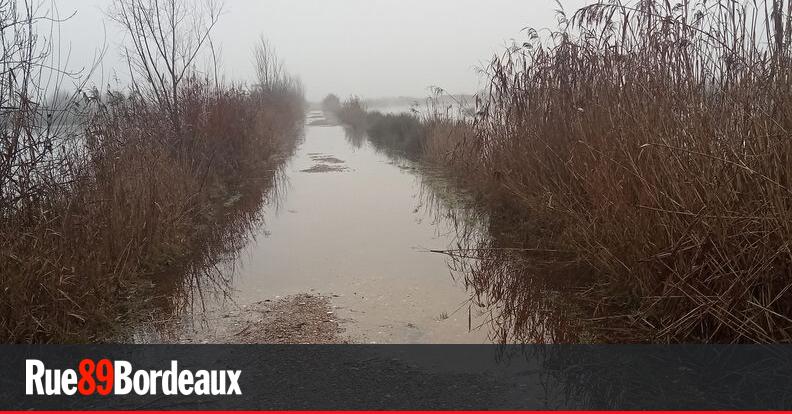 EMME : la consultation révèle de maigres espoirs industriels et de nombreuses craintes environnementales