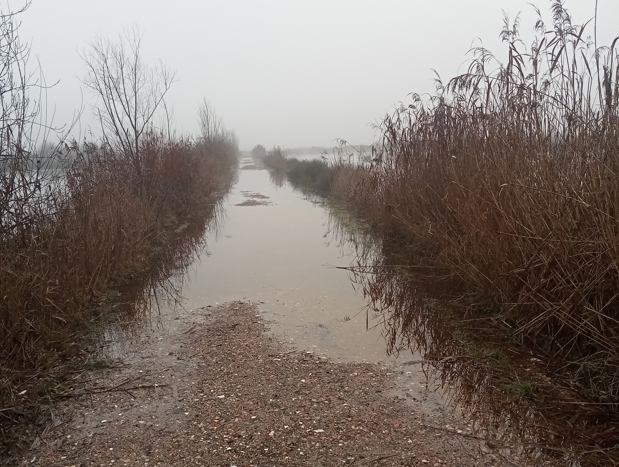 EMME : la consultation révèle de maigres espoirs industriels et de nombreuses craintes environnementales