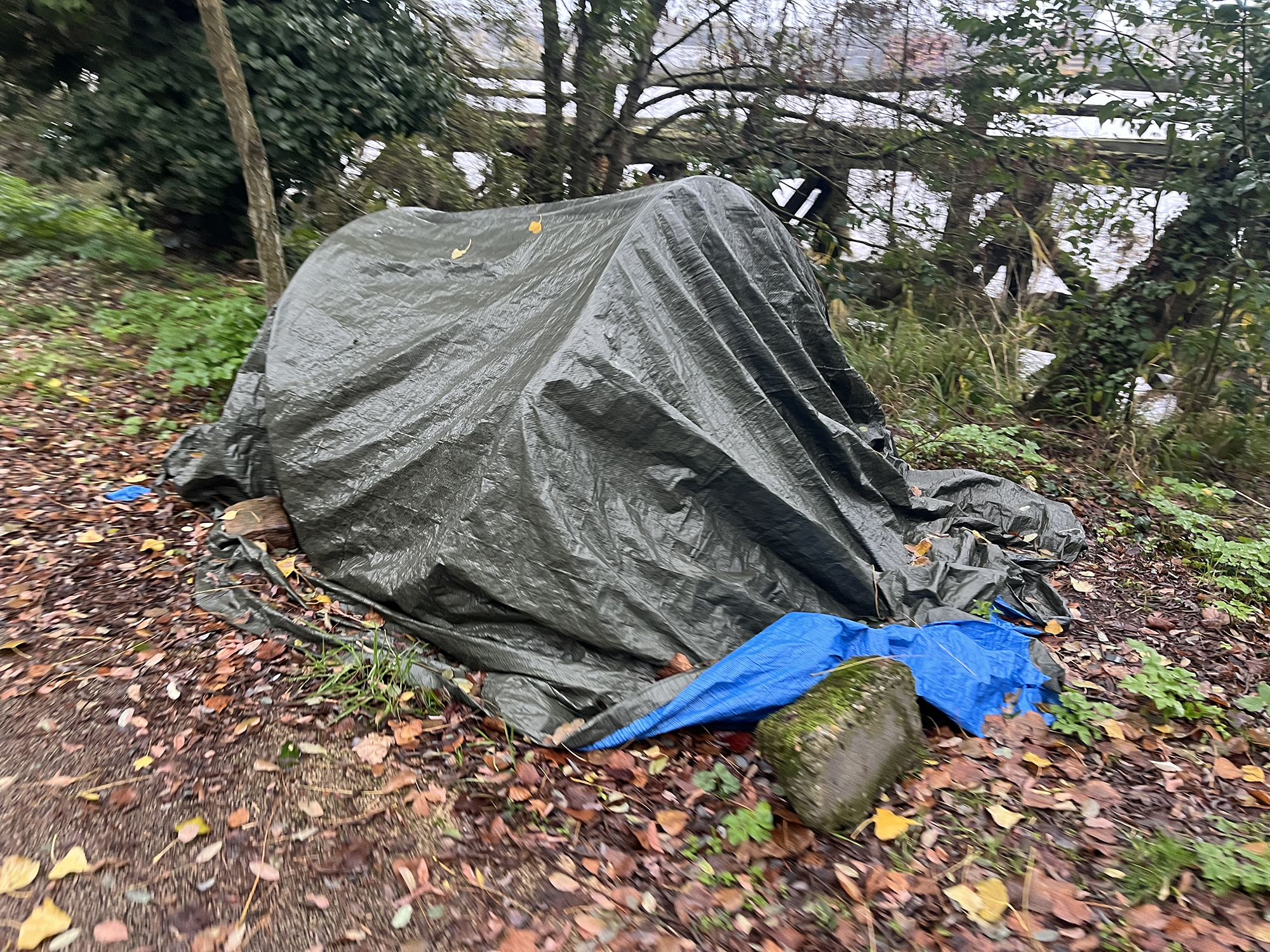 Municipales 2026 : comment Pierre Hurmic s’engage pour « zéro enfant sans abri » à Bordeaux